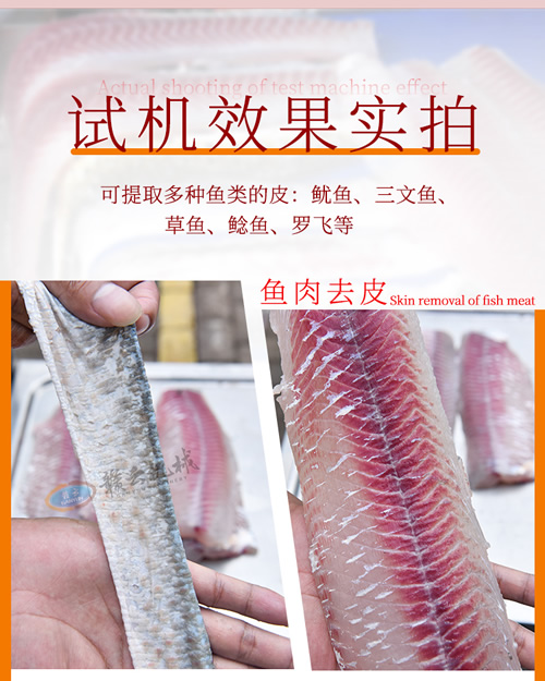 去魚皮機(jī)分離魚皮實拍效果圖 去魚皮機(jī)分離魚皮實拍效果圖